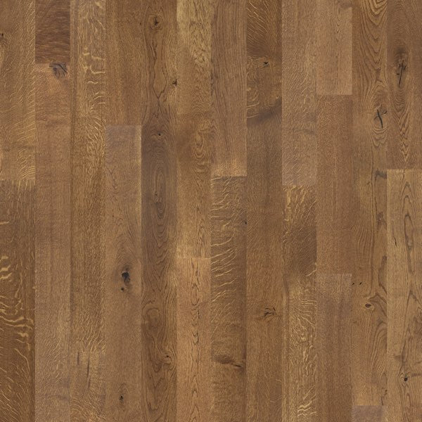 Rock Hollow Oak
