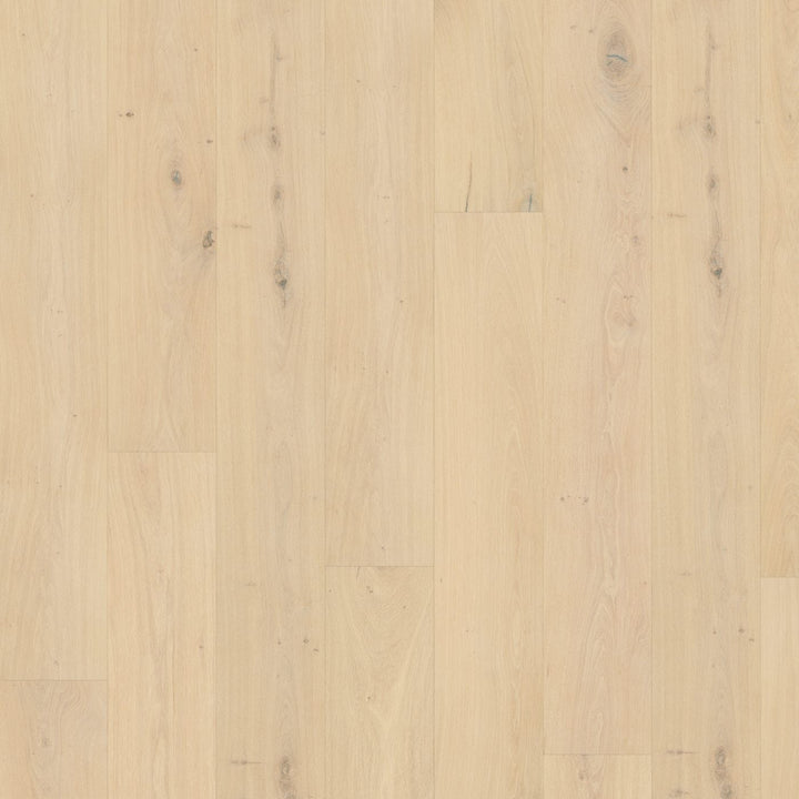 9.5" Seine European Oak