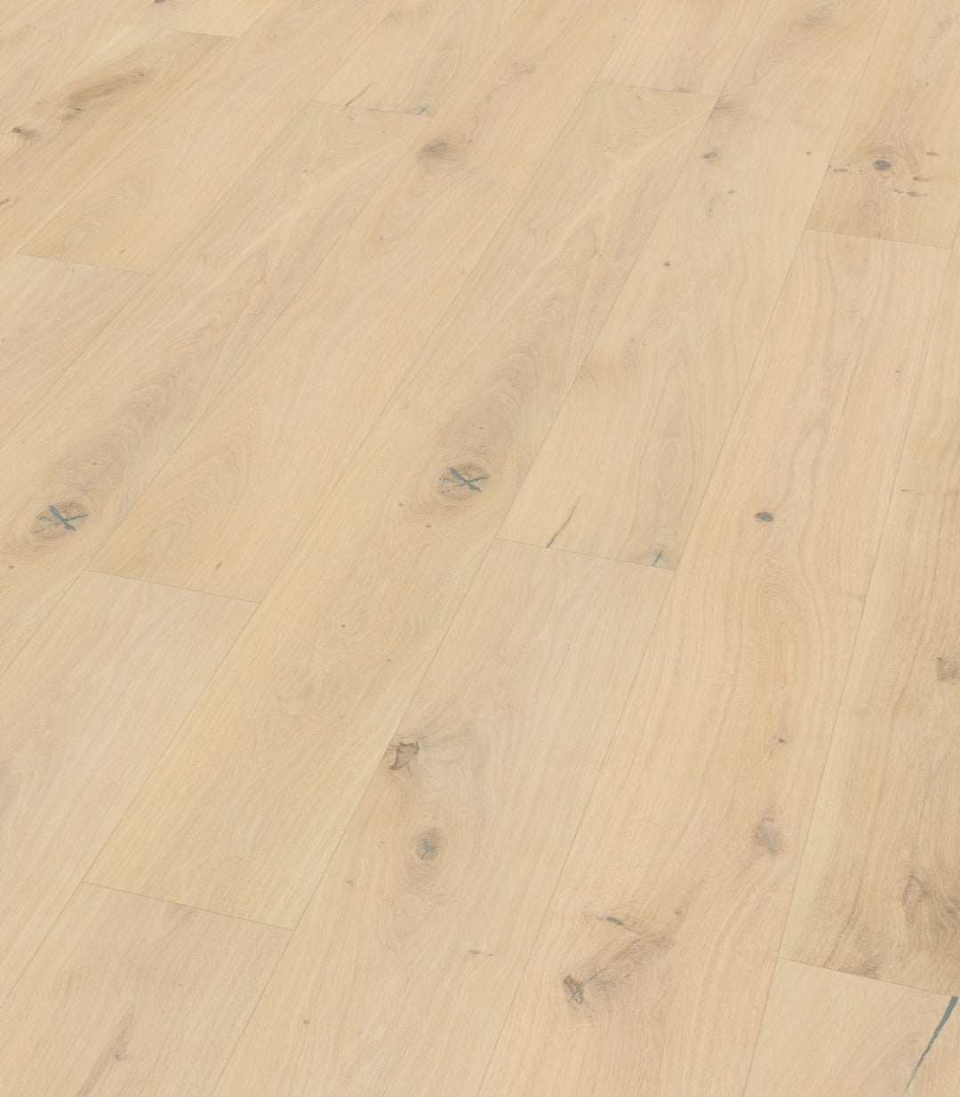 9.5" Seine European Oak