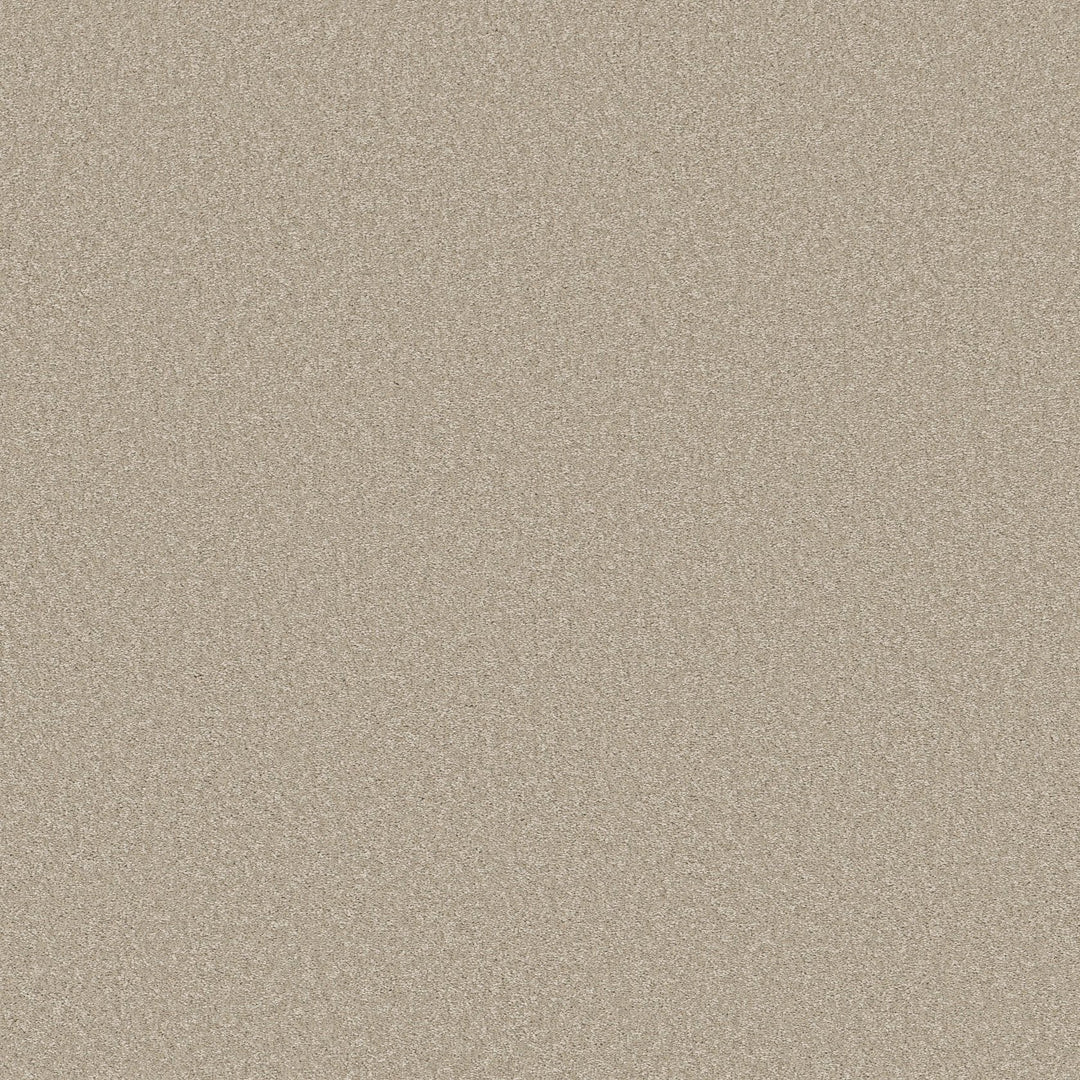 Way To Go Collection