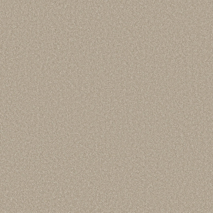 Way To Go Collection