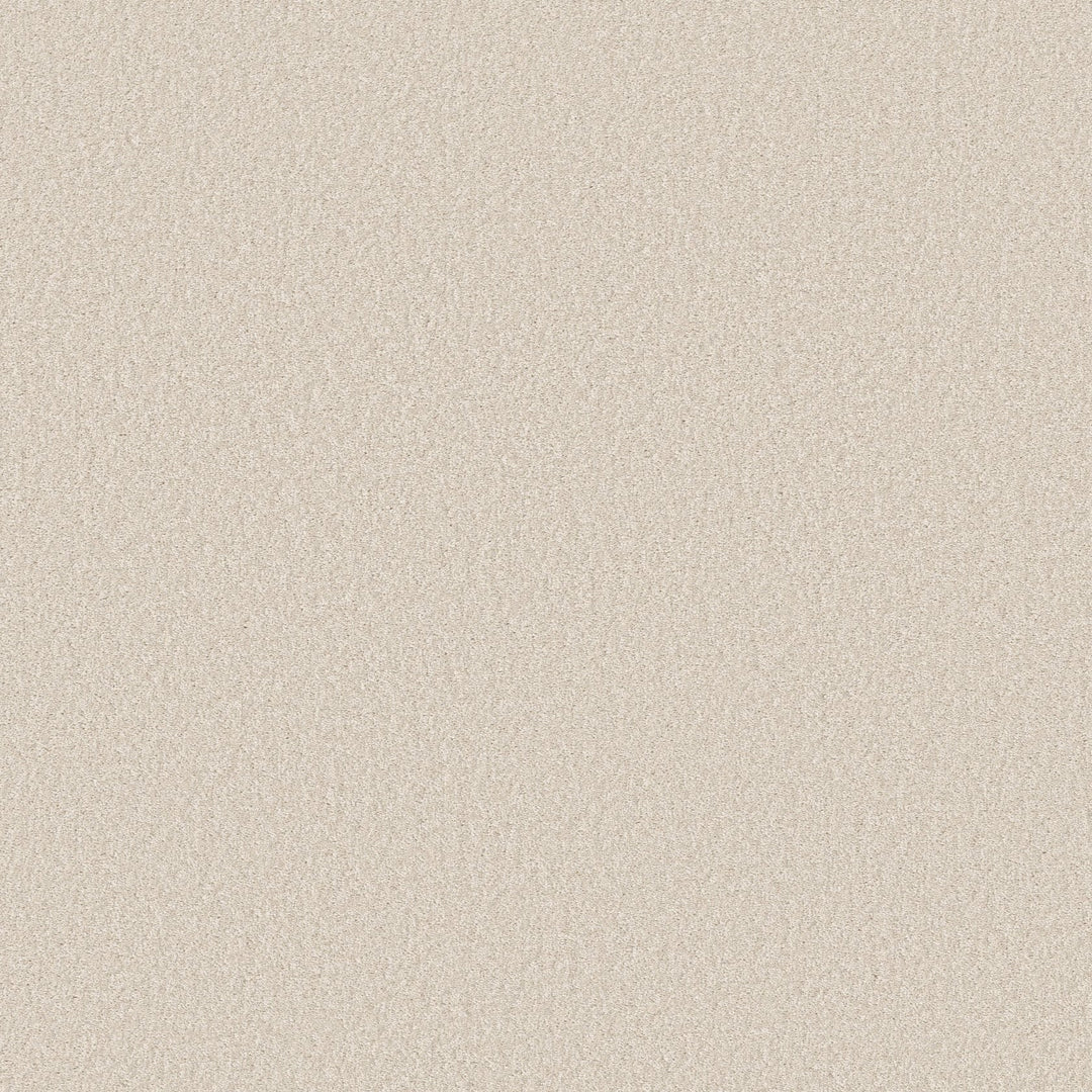 Way To Go Collection