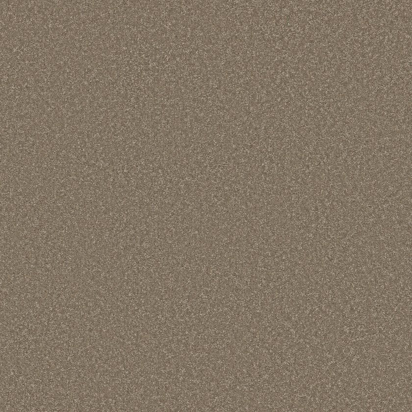 Way To Go Collection