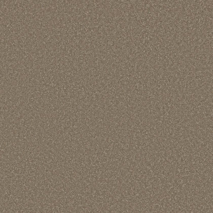 Way To Go Collection