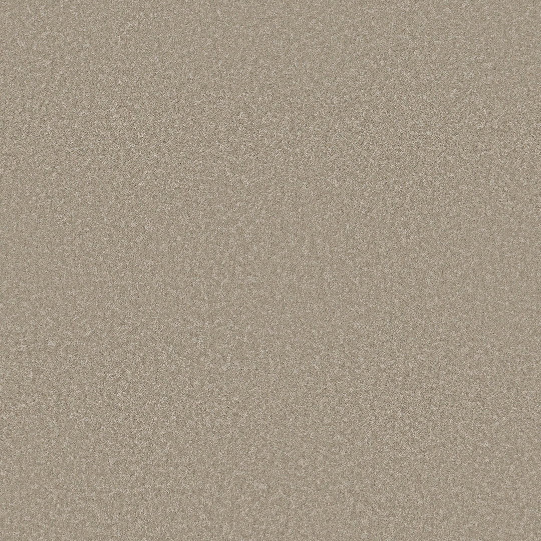 Way To Go Collection