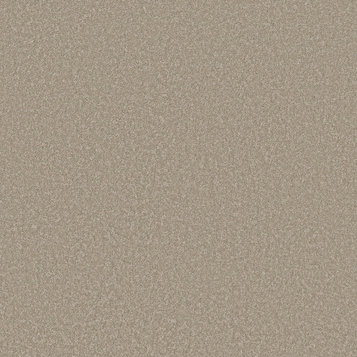 Way To Go Collection