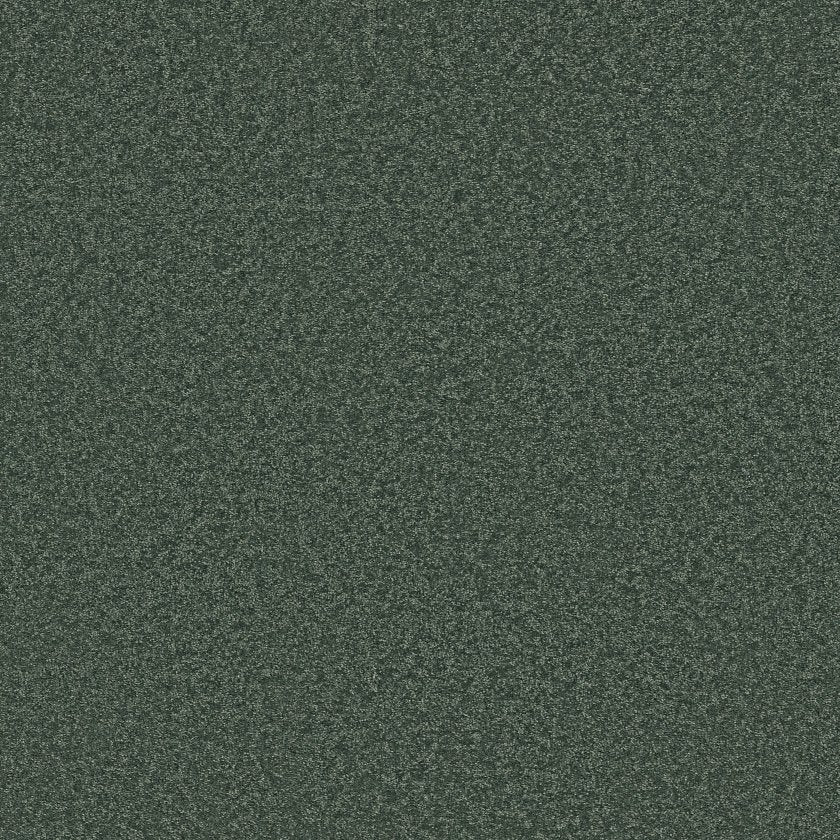 Way To Go Collection