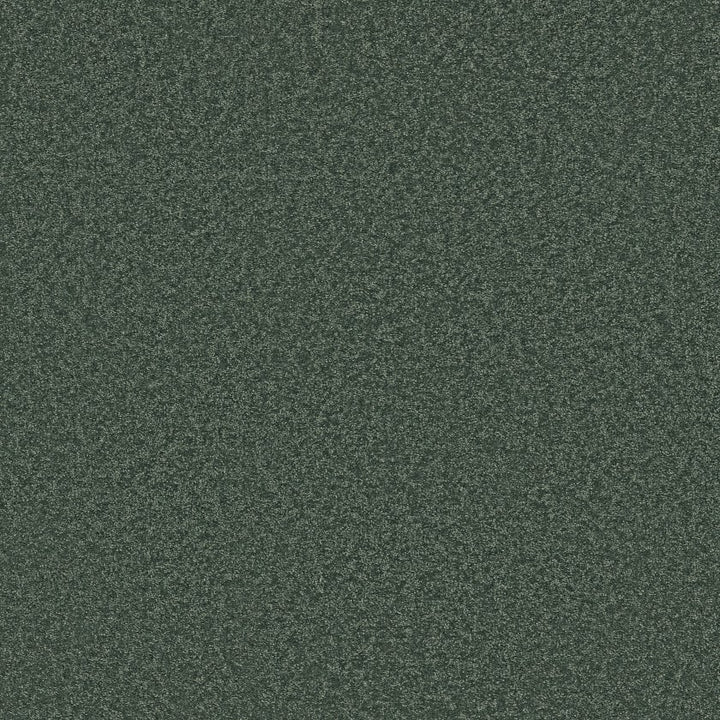 Way To Go Collection