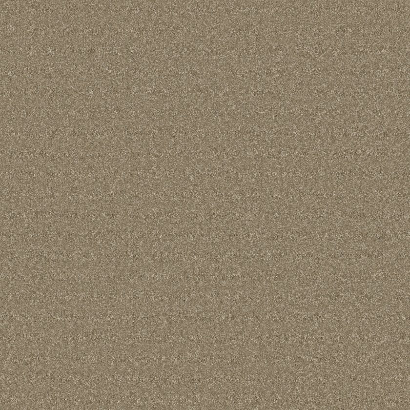 Way To Go Collection