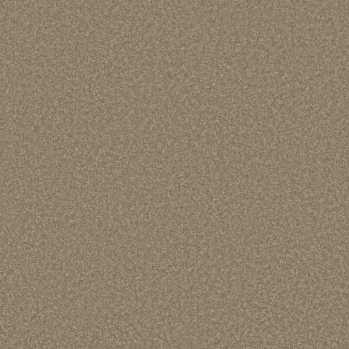 Way To Go Collection