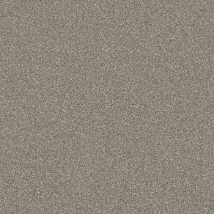 Way To Go Collection