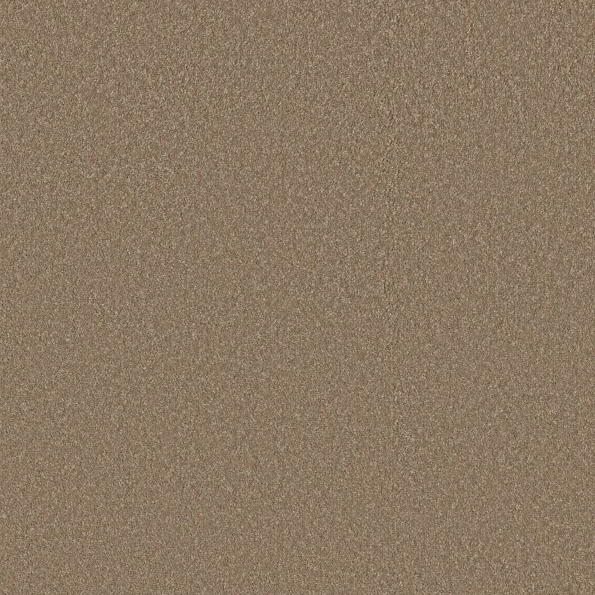 Way To Go Collection