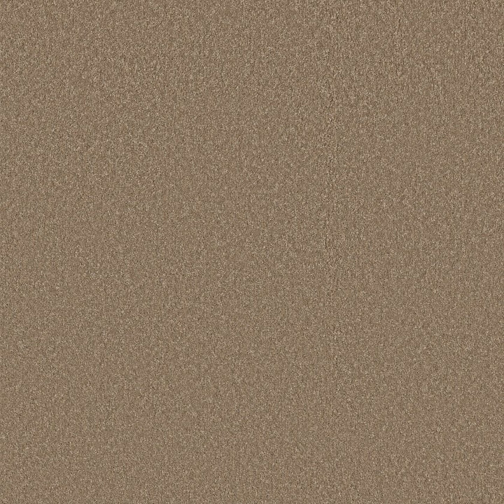 Way To Go Collection