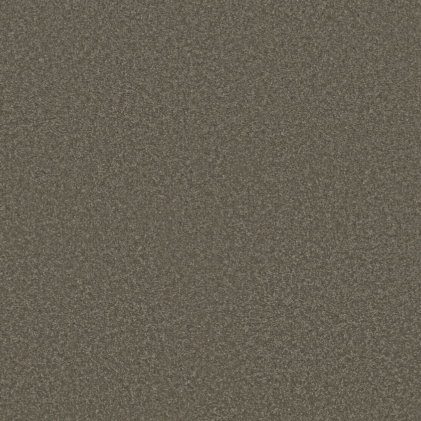 Way To Go Collection