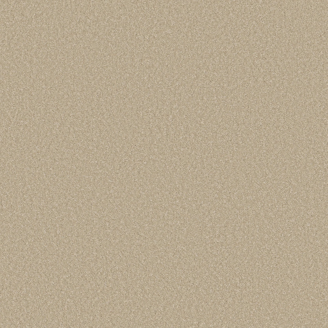 Way To Go Collection