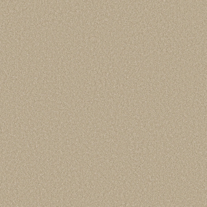 Way To Go Collection