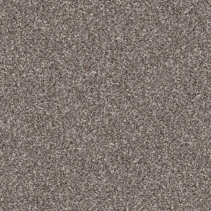 Yes You Can Collection