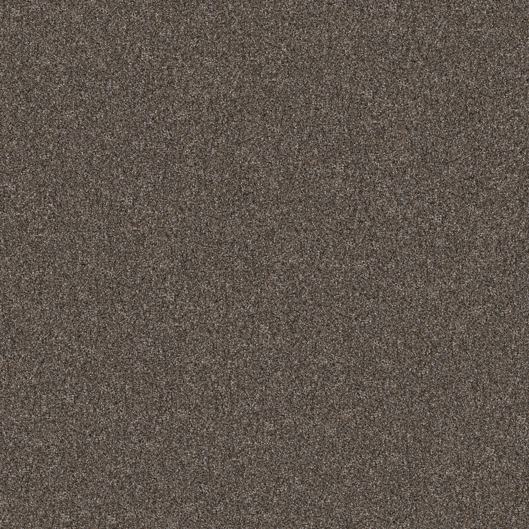 Yes You Can Collection