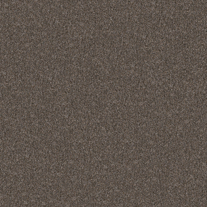 Yes You Can Collection