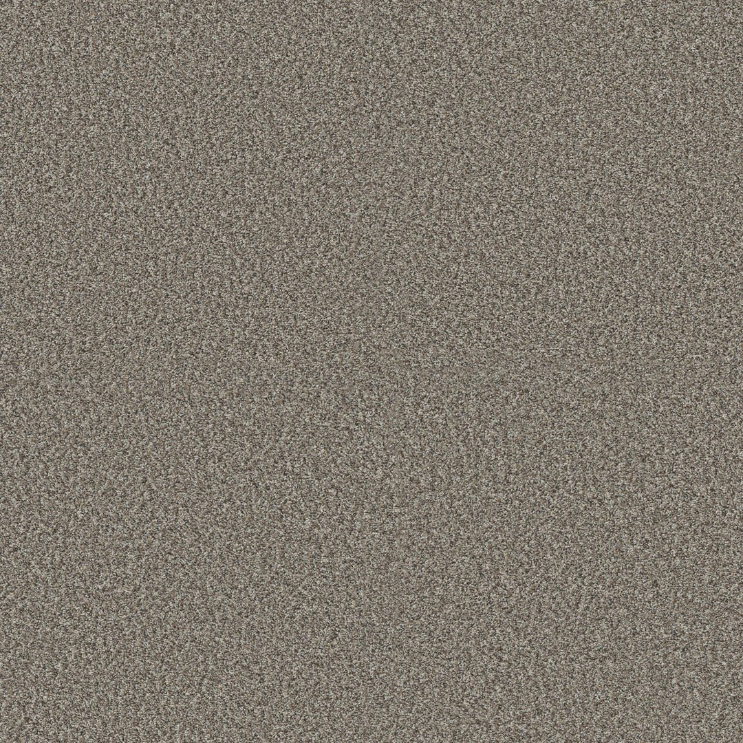 Yes You Can Collection