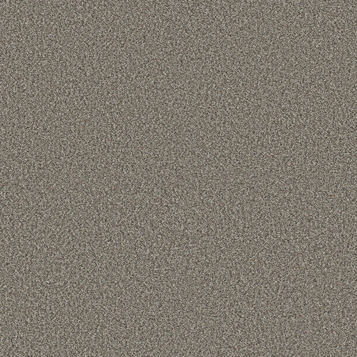 Yes You Can Collection