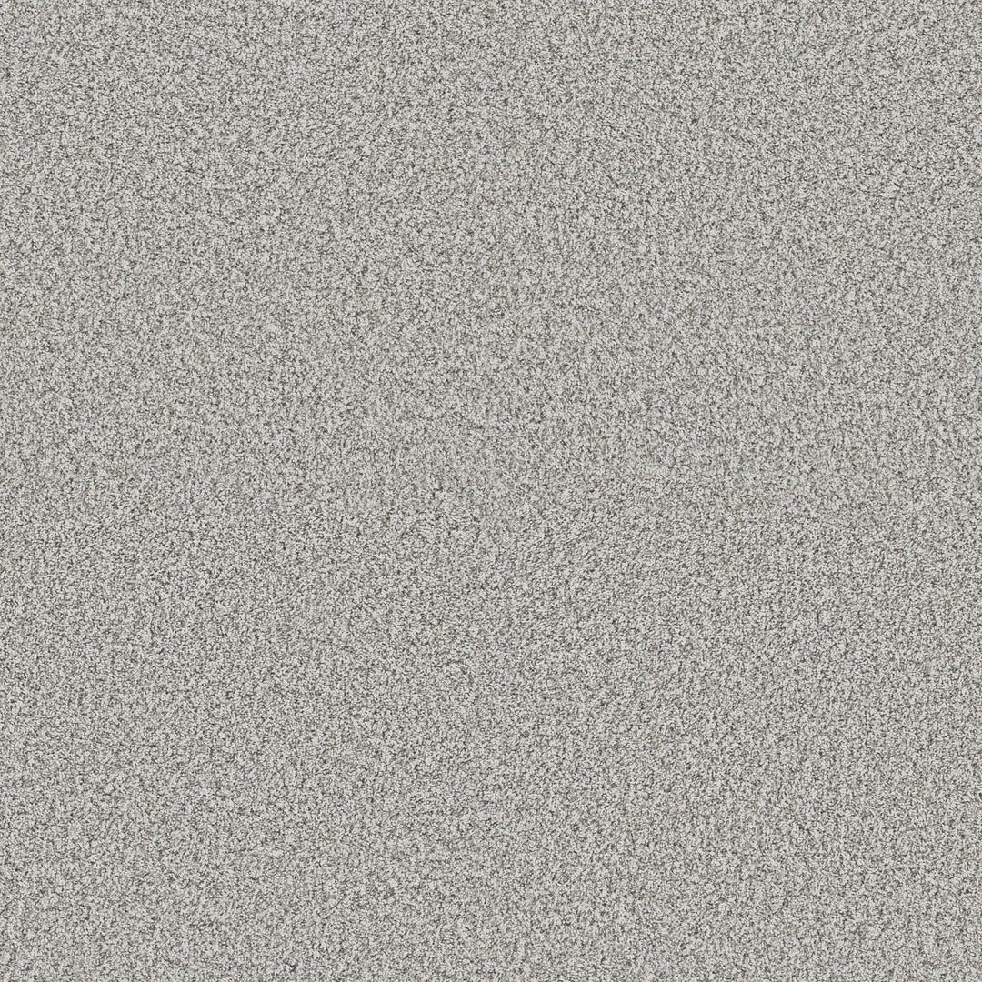 Yes You Can Collection