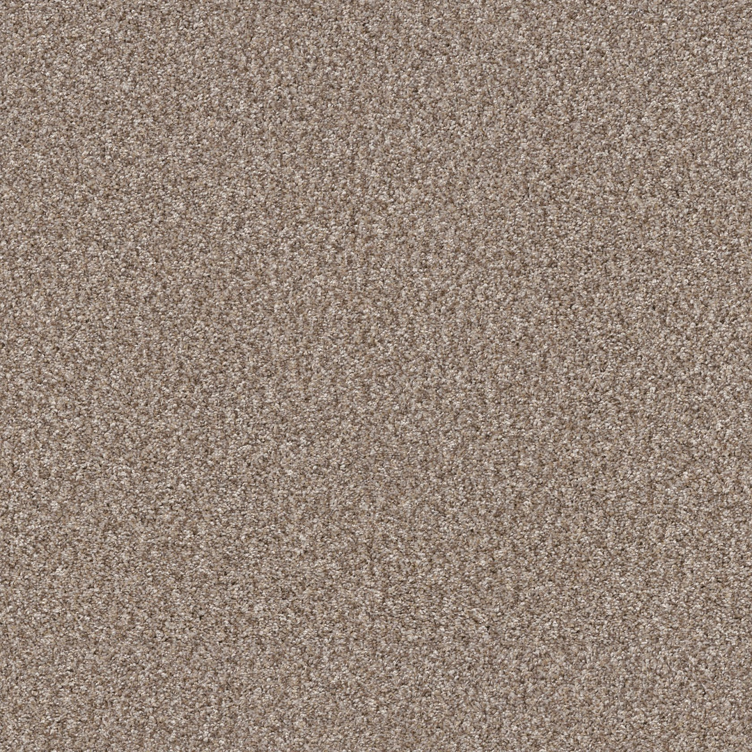 Yes You Can Collection