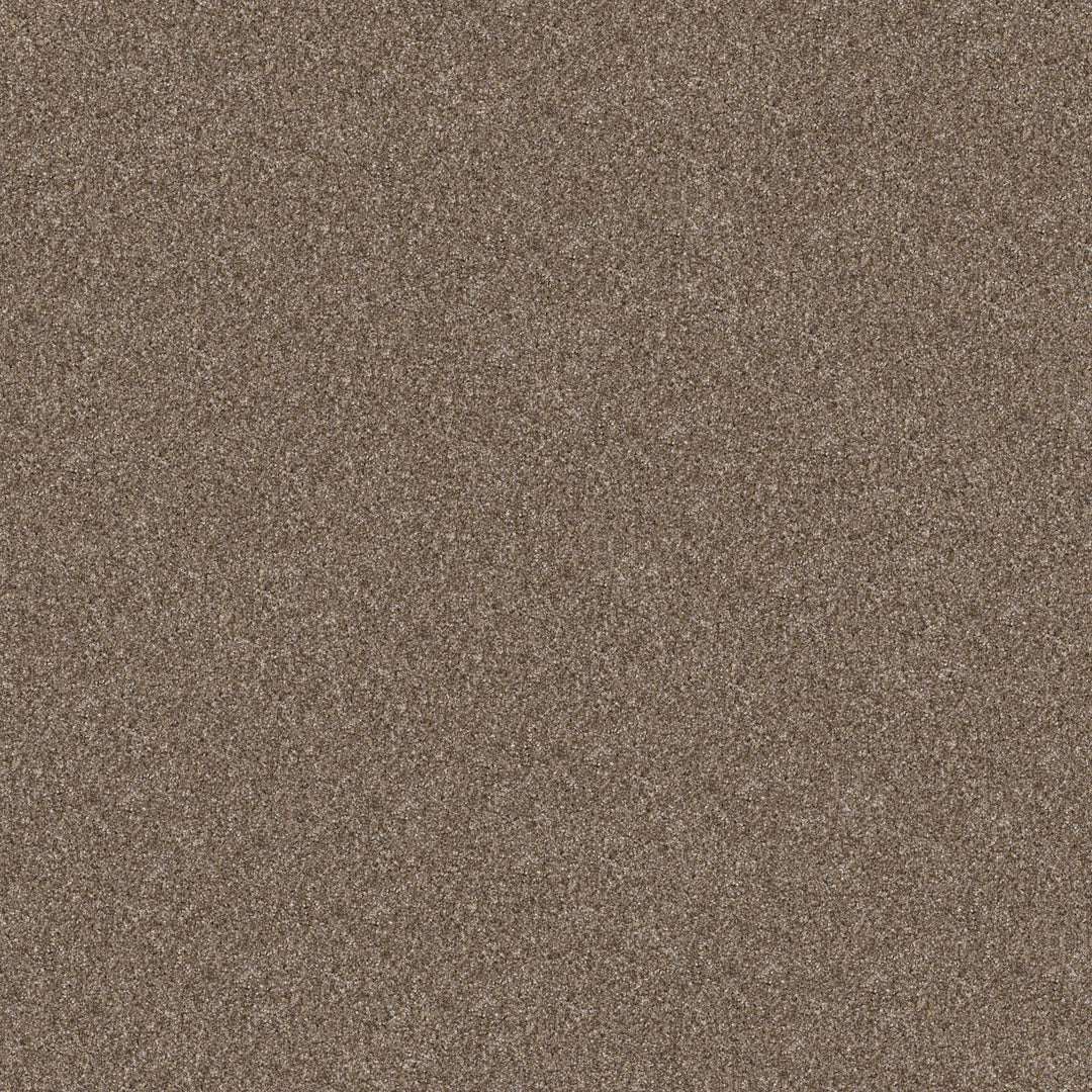 Yes You Can Collection