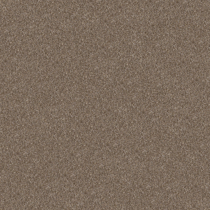 Yes You Can Collection