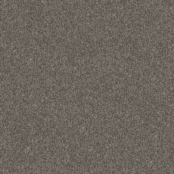 Yes You Can Collection