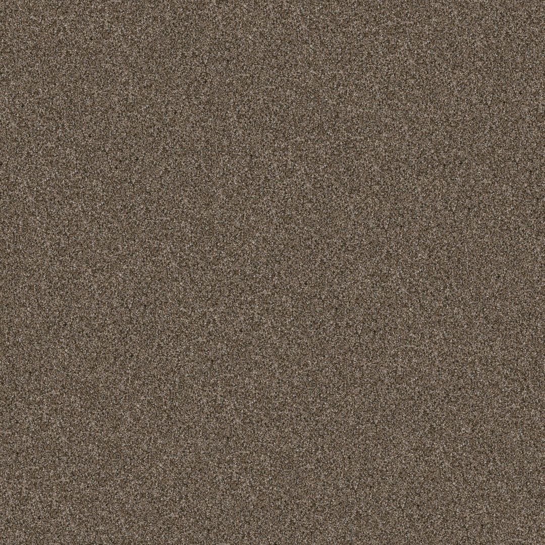 Yes You Can Collection