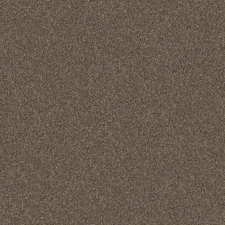 Yes You Can Collection