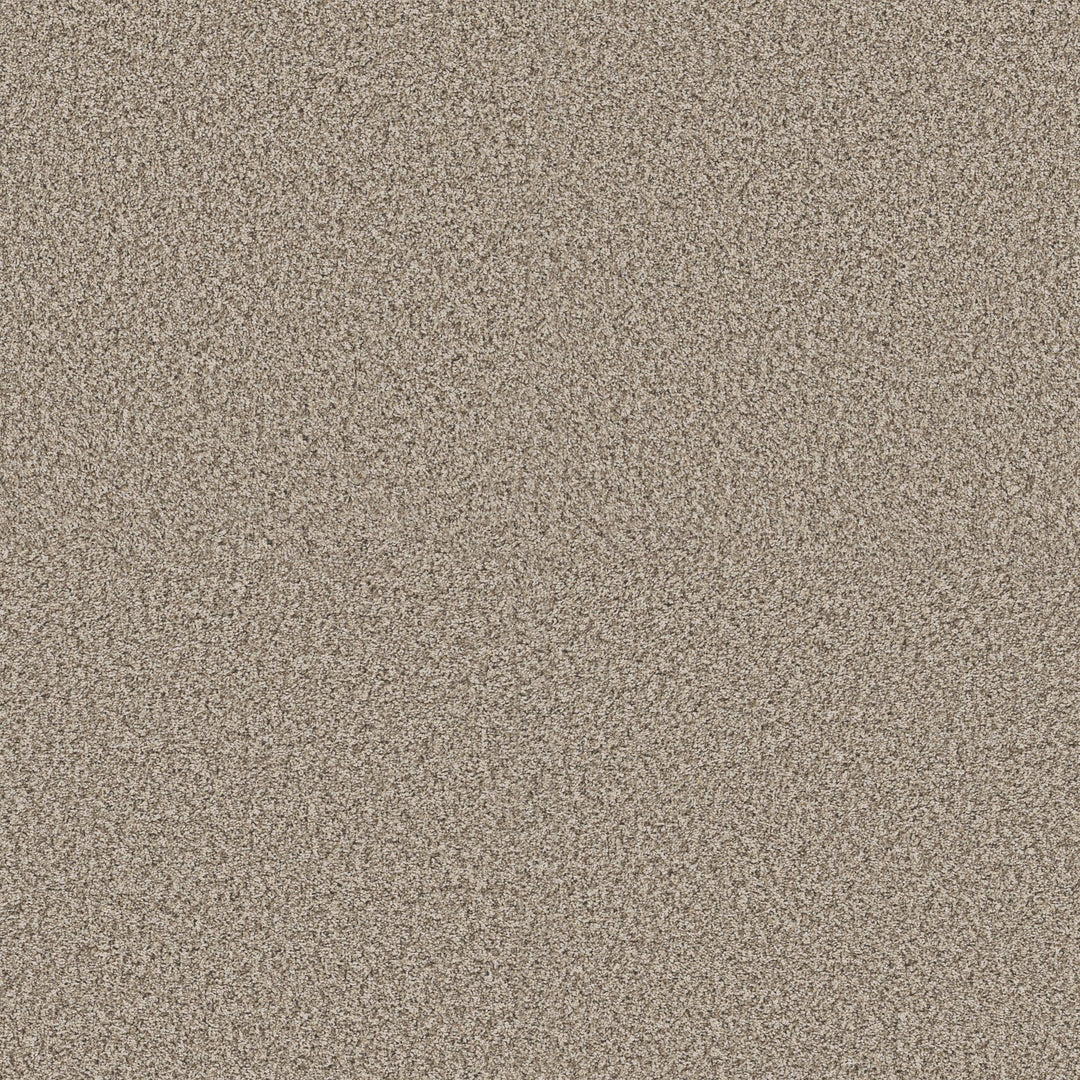 Yes You Can Collection