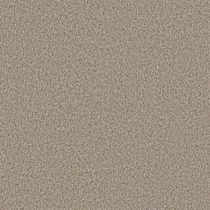 Yes You Can Collection