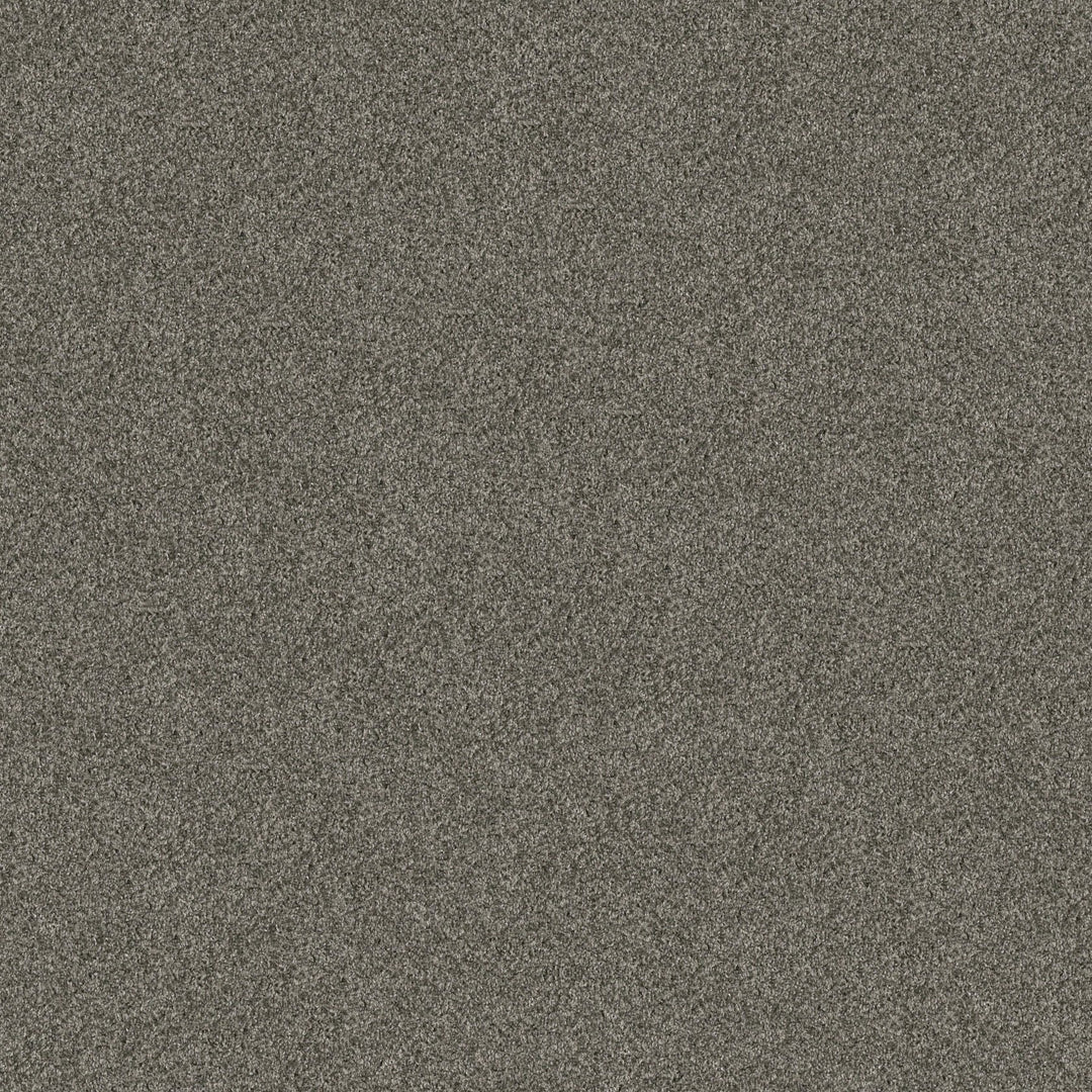 Yes You Can Collection