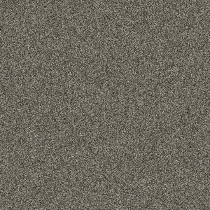 Yes You Can Collection