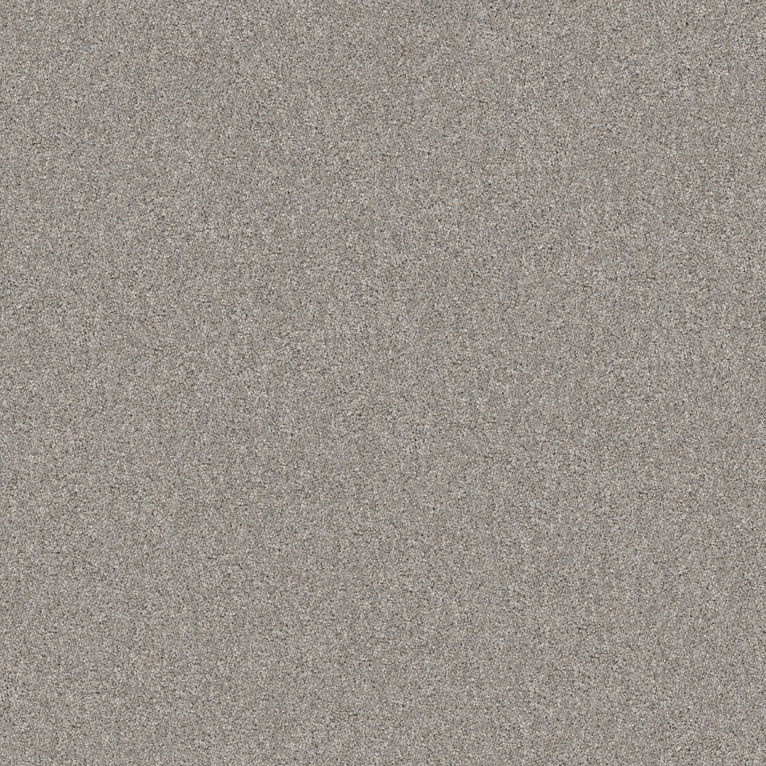 Yes You Can Collection