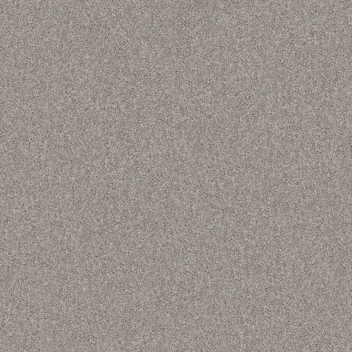 Yes You Can Collection