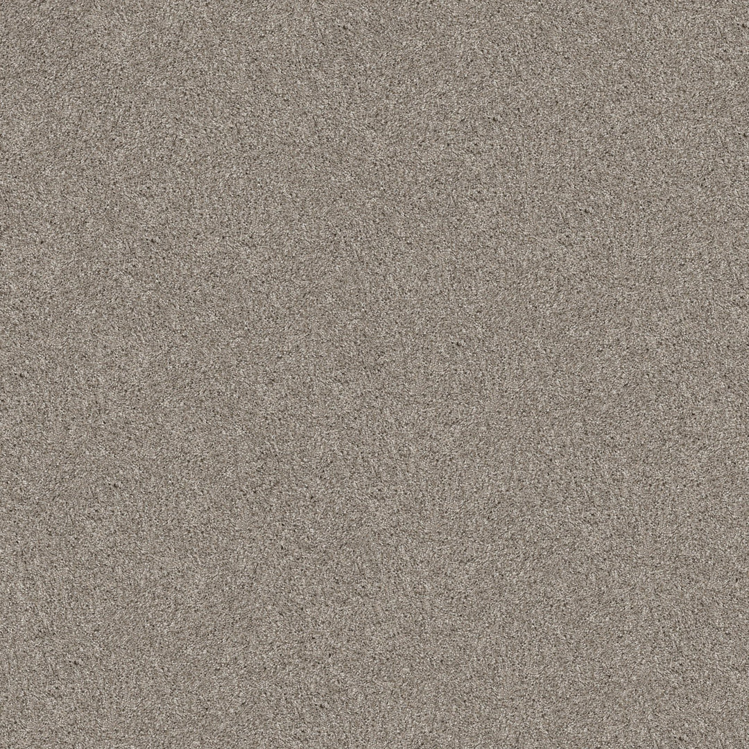 Yes You Can Collection