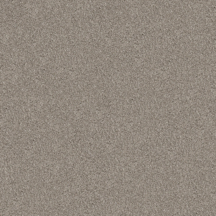 Yes You Can Collection