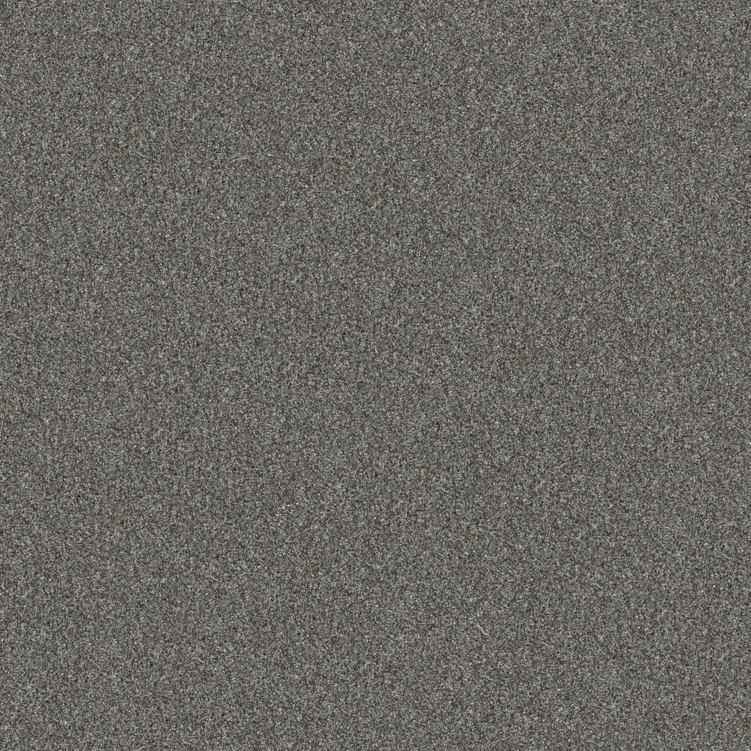 Yes You Can Collection