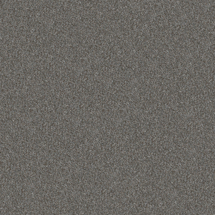 Yes You Can Collection