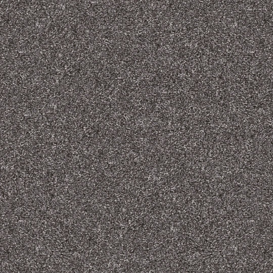 Yes You Can Collection