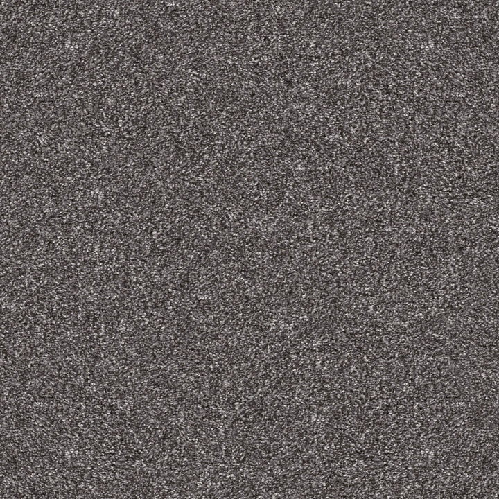 Yes You Can Collection