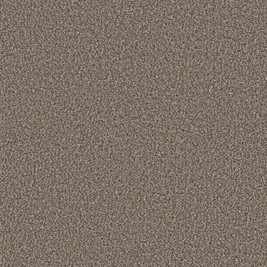 Yes You Can Collection