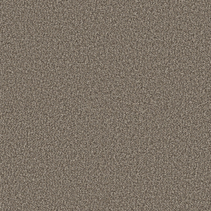 Yes You Can Collection