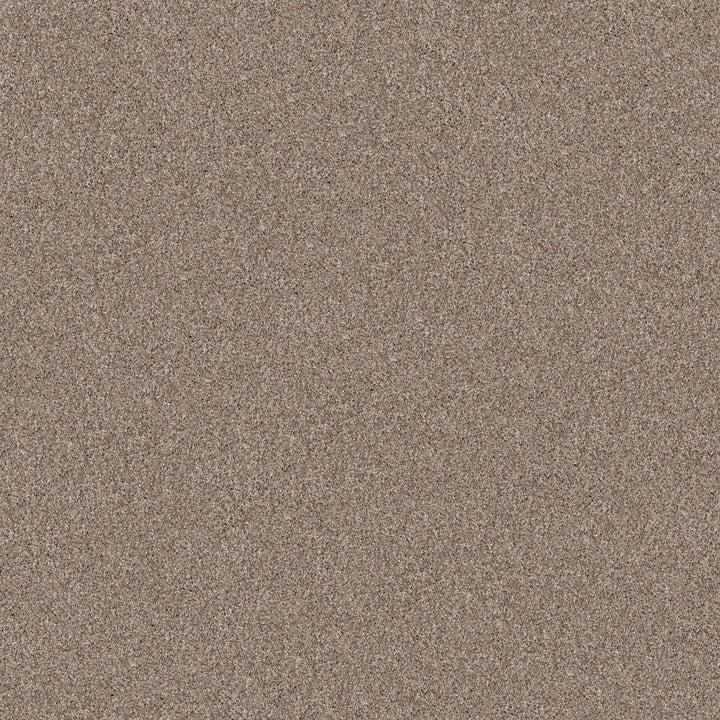 Yes You Can Collection