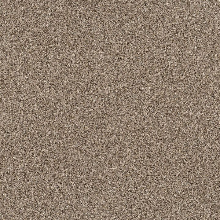 Yes You Can Collection