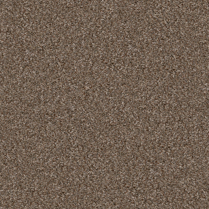 Yes You Can Collection