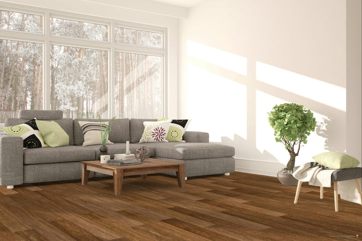 Brazilian Chestnut Sucupira